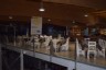 apri l'immagine in popup